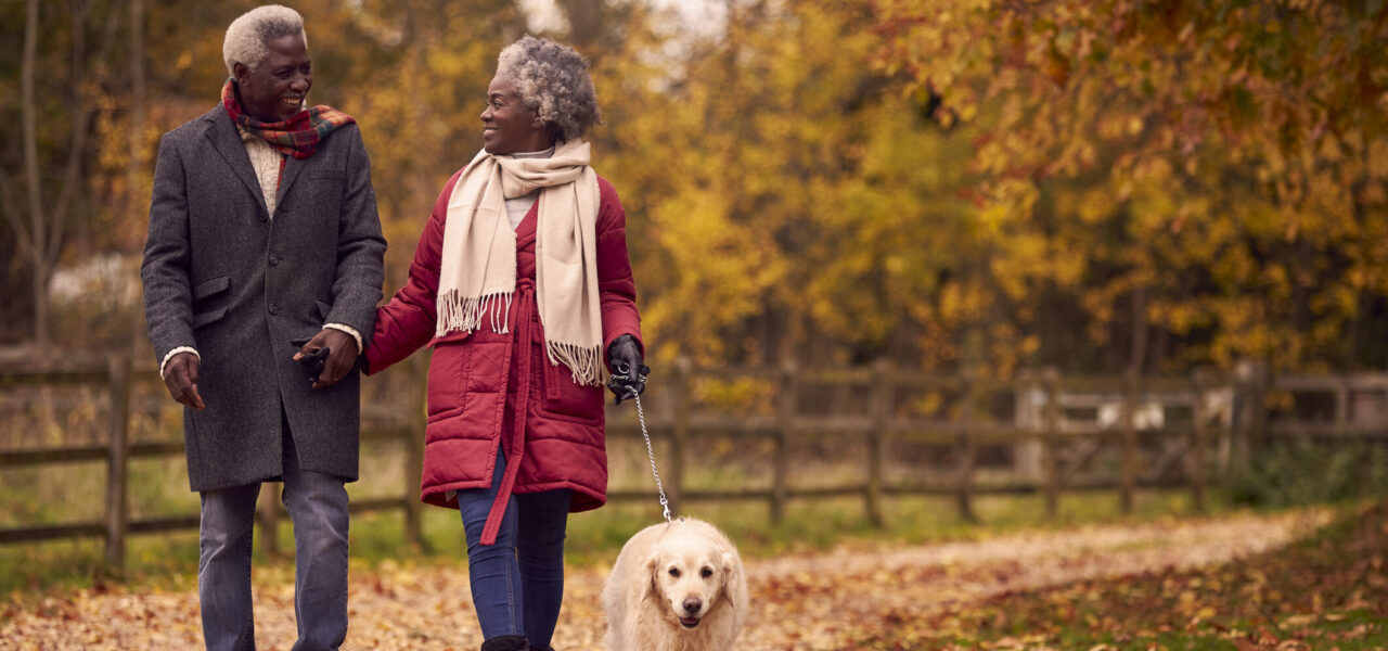Cwpl hŷn yn mynd â'u ci am dro mewn parc. Mae dail yn disgyn o'u cwmpas. / An older couple walking their dog in a park. Leaves are falling all around them.