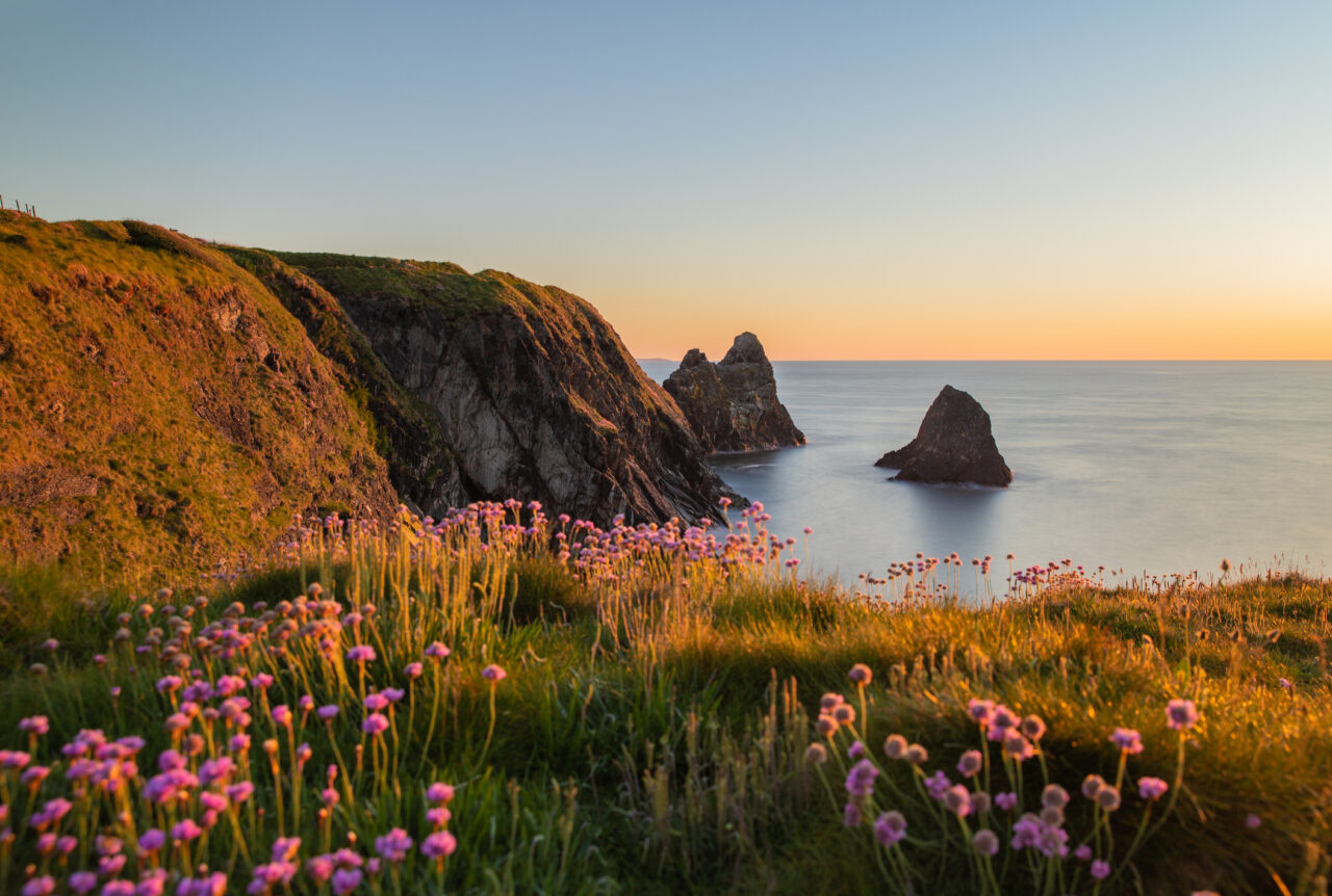 Arfordir Ceibwr yn Sir Benfro. / The coast of Ceibwr in Pembrokeshire.